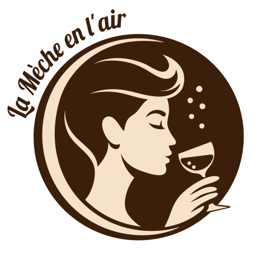 logo la mèche en l'air